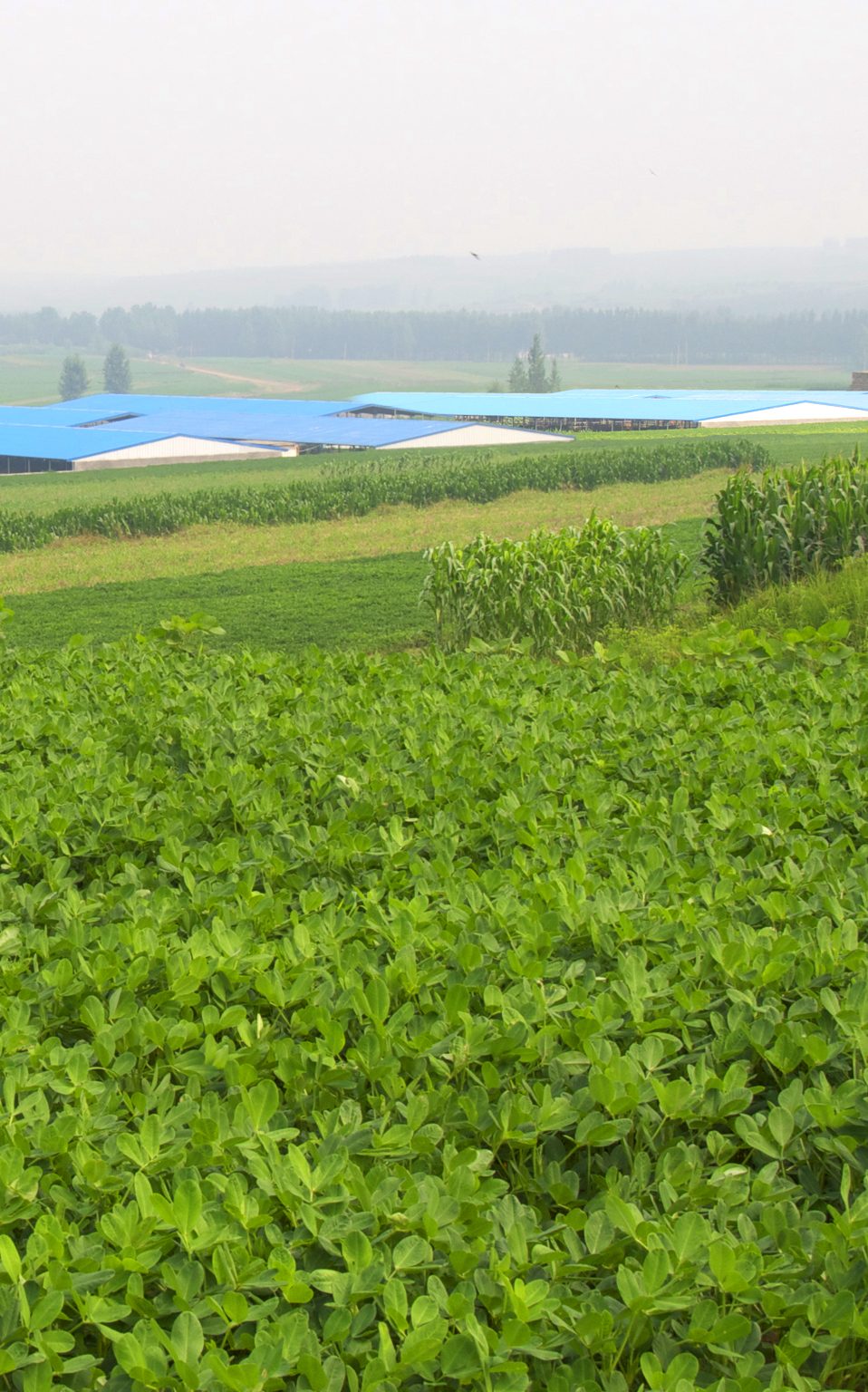 ag真人九游会官网登录网址